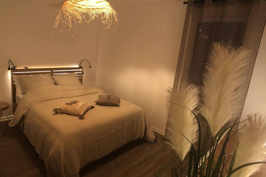Appartement, Confort, Parking, Terrasse Dinan Eksteriør bilde
